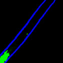 View the 'Motility of a chitosome' movie