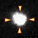 View the 'Release of photo-activated dynein from apical MT plus-ends' movie